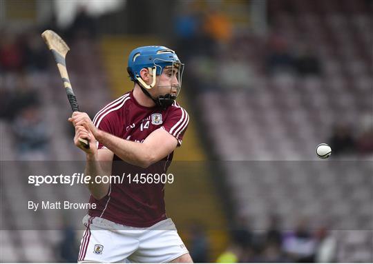 Galway v Offaly - Allianz Hurling League Division 1B Round 3