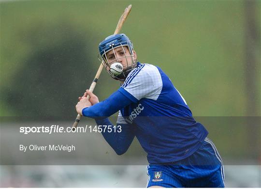 Monaghan v Tyrone - Allianz Hurling League Division 3A Round 3