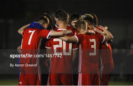 Republic of Ireland v Wales - Under 18 International Friendly