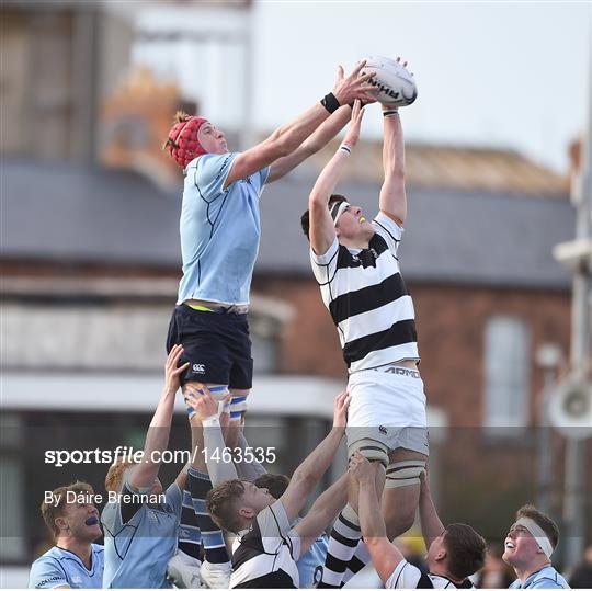 St Michael's College v Belvedere College - Bank of Ireland Leinster Schools Senior Cup semi-final