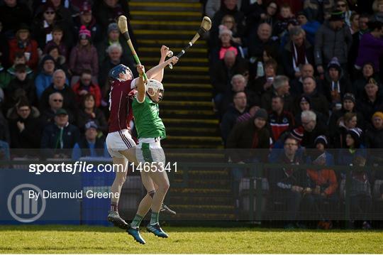 Galway v Limerick - Allianz Hurling League Division 1B Round 5 Galway v Limerick - Allianz Hurling League Division 1B Round 5