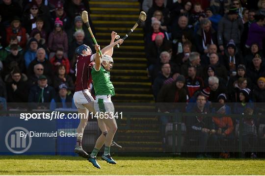 Galway v Limerick - Allianz Hurling League Division 1B Round 5