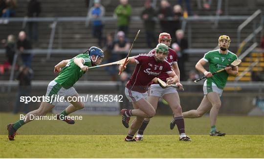 Galway v Limerick - Allianz Hurling League Division 1B Round 5 Galway v Limerick - Allianz Hurling League Division 1B Round 5