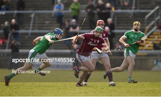 Galway v Limerick - Allianz Hurling League Division 1B Round 5