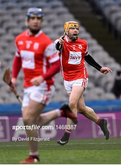 Cuala v Na Piarsaigh - AIB GAA Hurling All-Ireland Senior Club Championship Final