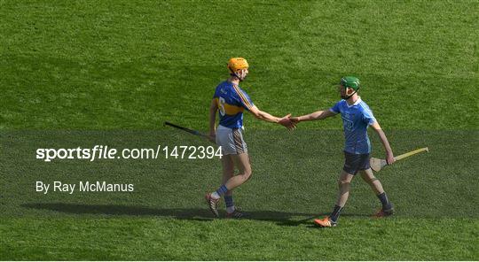 Dublin v Tipperary - Allianz Hurling League Division 1 Quarter-Final