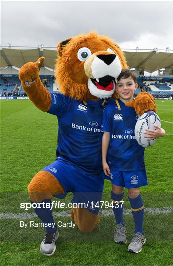 Mascots at Leinster v Zebre - Guinness PRO14 Round 19
