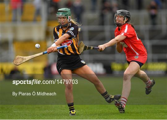 Kilkenny v Cork - Littlewoods Ireland Camogie League Division 1 Final