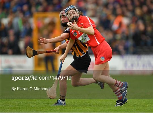 Kilkenny v Cork - Littlewoods Ireland Camogie League Division 1 Final