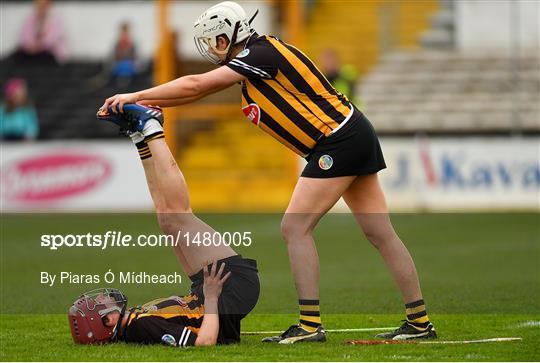 Kilkenny v Cork - Littlewoods Ireland Camogie League Division 1 Final