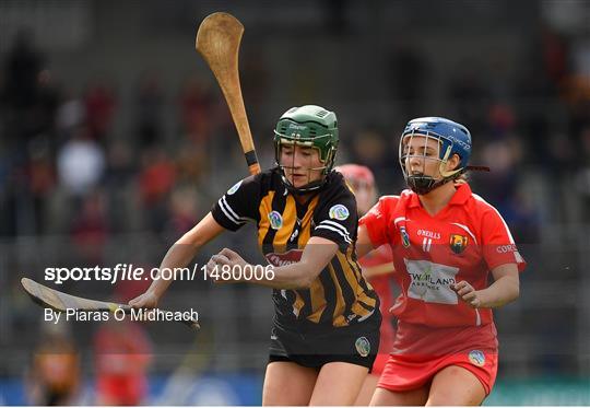 Kilkenny v Cork - Littlewoods Ireland Camogie League Division 1 Final Kilkenny v Cork - Littlewoods Ireland Camogie League Division 1 Final
