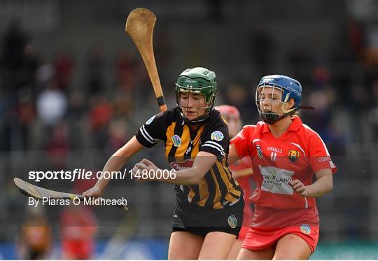 Kilkenny v Cork - Littlewoods Ireland Camogie League Division 1 Final