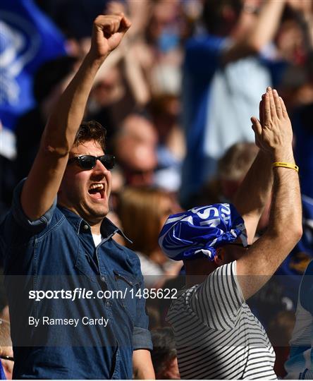 Supporters at Leinster v Scarlets - European Rugby Champions Cup semi-final