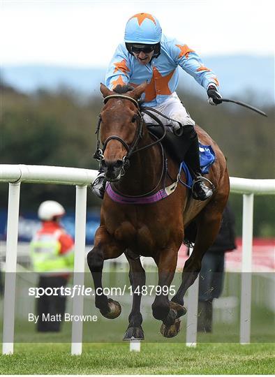 Punchestown Festival - Champion Chase Day