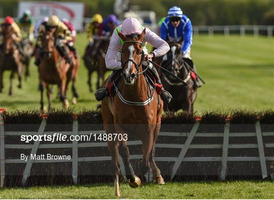 Punchestown Festival - World Series Hurdle Day