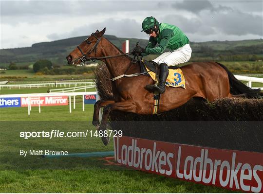 Punchestown Festival - World Series Hurdle Day