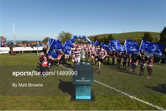 Tullow RFC v Enniscorthy RFC - Bank of Ireland Provincial Towns Cup Final