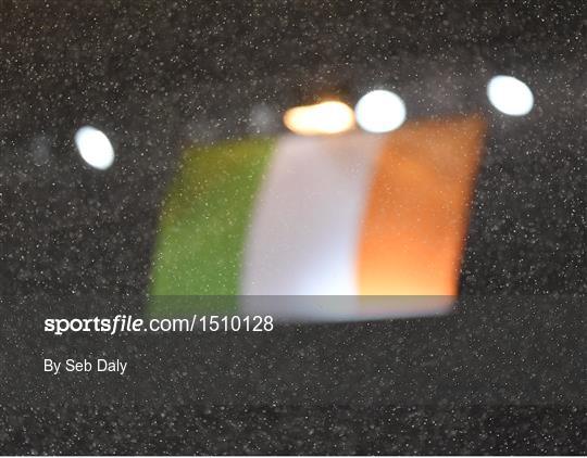 France v Republic of Ireland - International Friendly France v Republic of Ireland - International Friendly