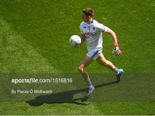 Carlow v Laois - Leinster GAA Football Senior Championship Semi-Final