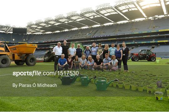 GAA Museum 'Potted Croke Park' GAA Museum 'Potted Croke Park'