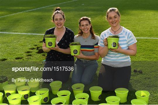 GAA Museum 'Potted Croke Park' GAA Museum 'Potted Croke Park'