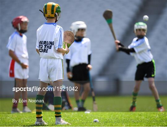 2018 BGE #HurlingToTheCore training camp