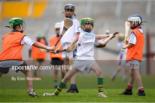 2018 BGE #HurlingToTheCore training camp