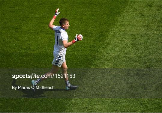 Carlow v Laois - Leinster GAA Football Senior Championship Semi-Final