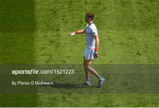 Carlow v Laois - Leinster GAA Football Senior Championship Semi-Final