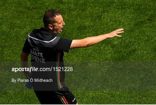 Carlow v Laois - Leinster GAA Football Senior Championship Semi-Final