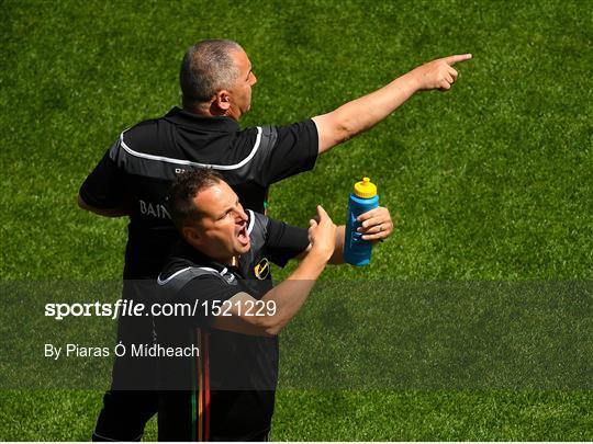 Carlow v Laois - Leinster GAA Football Senior Championship Semi-Final