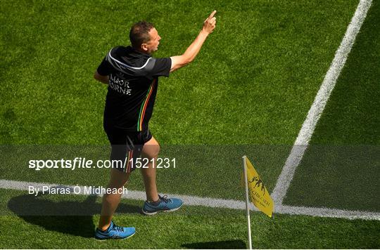 Carlow v Laois - Leinster GAA Football Senior Championship Semi-Final