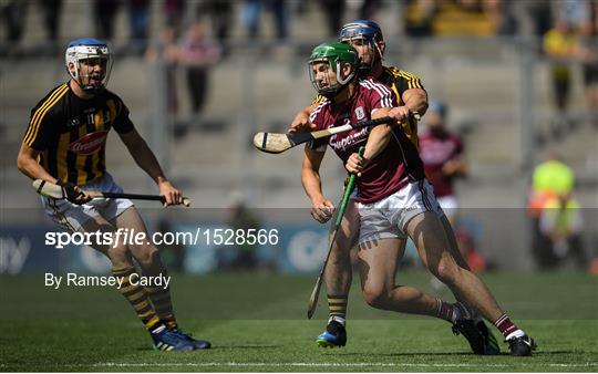 Kilkenny v Galway - Leinster GAA Hurling Senior Championship Final