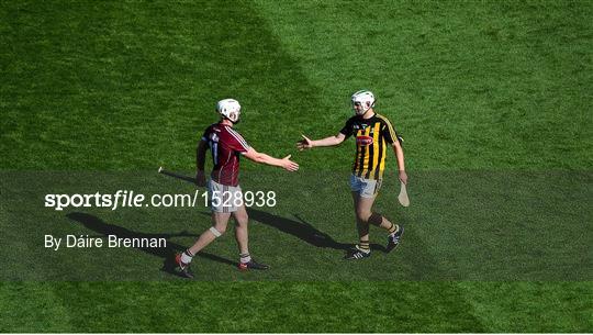 Kilkenny v Galway - Leinster GAA Hurling Senior Championship Final