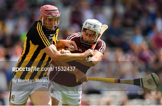 Kilkenny v Galway - Leinster GAA Hurling Senior Championship Final Replay