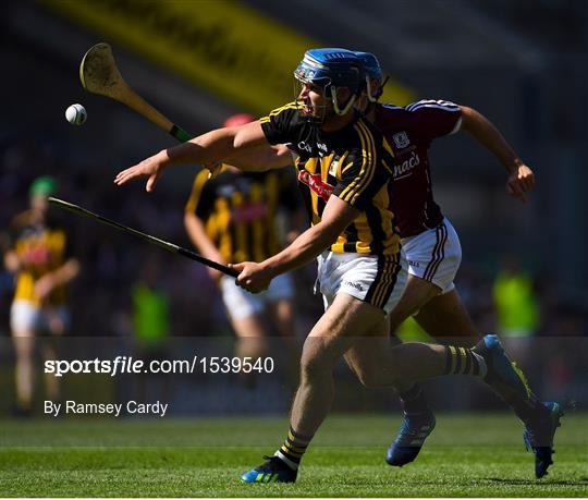 Kilkenny v Galway - Leinster GAA Hurling Senior Championship Final