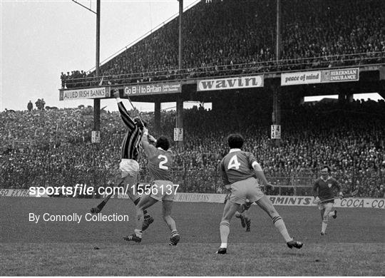 Limerick v Kilkenny - 1973 All-Ireland Senior Hurling Final