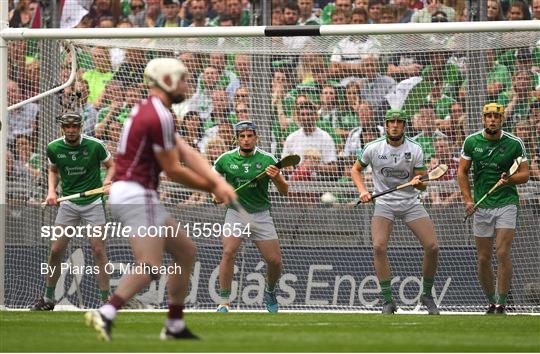 Galway v Limerick - GAA Hurling All-Ireland Senior Championship Final