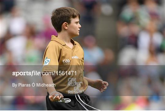 INTO Cumann na mBunscol GAA Respect Exhibition Go Games at Galway v Limerick - GAA Hurling All-Ireland Senior Championship Final INTO Cumann na mBunscol GAA Respect Exhibition Go Games at Galway v Limerick - GAA Hurling All-Ireland Senior Championship Final