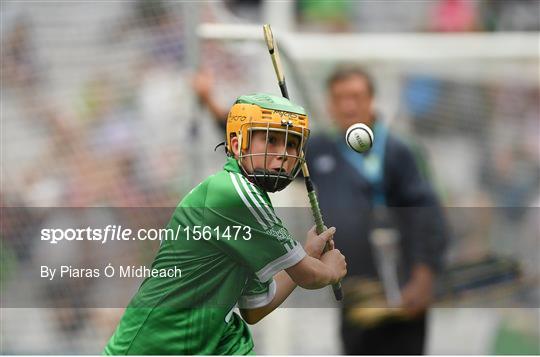 INTO Cumann na mBunscol GAA Respect Exhibition Go Games at Galway v Limerick - GAA Hurling All-Ireland Senior Championship Final INTO Cumann na mBunscol GAA Respect Exhibition Go Games at Galway v Limerick - GAA Hurling All-Ireland Senior Championship Final