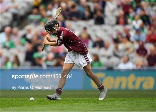 INTO Cumann na mBunscol GAA Respect Exhibition Go Games at Galway v Limerick - GAA Hurling All-Ireland Senior Championship Final INTO Cumann na mBunscol GAA Respect Exhibition Go Games at Galway v Limerick - GAA Hurling All-Ireland Senior Championship Final