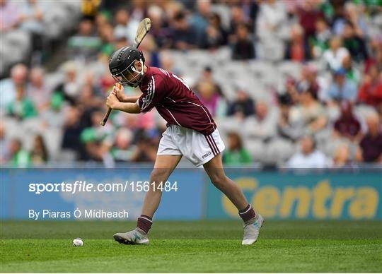 INTO Cumann na mBunscol GAA Respect Exhibition Go Games at Galway v Limerick - GAA Hurling All-Ireland Senior Championship Final