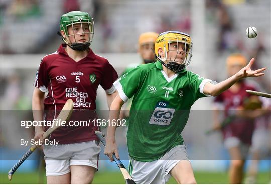 INTO Cumann na mBunscol GAA Respect Exhibition Go Games at Galway v Limerick - GAA Hurling All-Ireland Senior Championship Final INTO Cumann na mBunscol GAA Respect Exhibition Go Games at Galway v Limerick - GAA Hurling All-Ireland Senior Championship Final