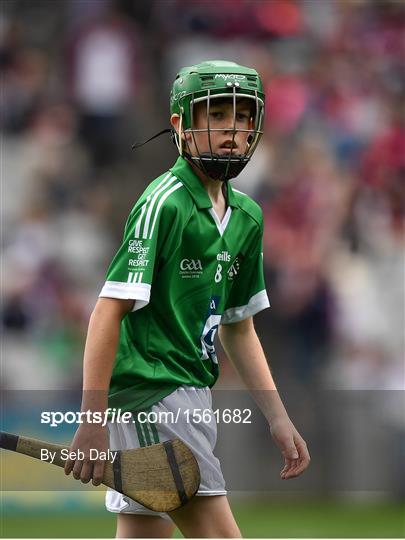 INTO Cumann na mBunscol GAA Respect Exhibition Go Games at Galway v Limerick - GAA Hurling All-Ireland Senior Championship Final INTO Cumann na mBunscol GAA Respect Exhibition Go Games at Galway v Limerick - GAA Hurling All-Ireland Senior Championship Final