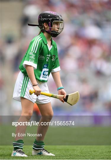 INTO Cumann na mBunscol GAA Respect Exhibition Go Games at Galway v Limerick - GAA Hurling All-Ireland Senior Championship Final INTO Cumann na mBunscol GAA Respect Exhibition Go Games at Galway v Limerick - GAA Hurling All-Ireland Senior Championship Final