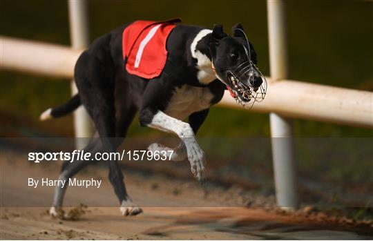 2018 Irish Greyhound Derby