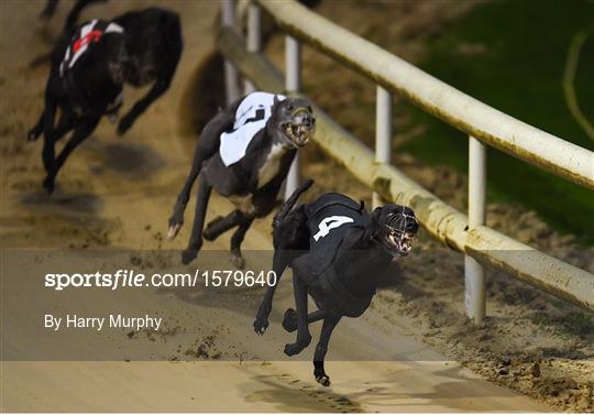 2018 Irish Greyhound Derby