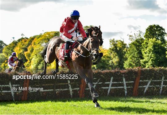 Gowran Park Races - Champion Chase Day