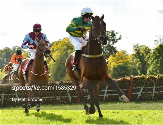Gowran Park Races - Champion Chase Day