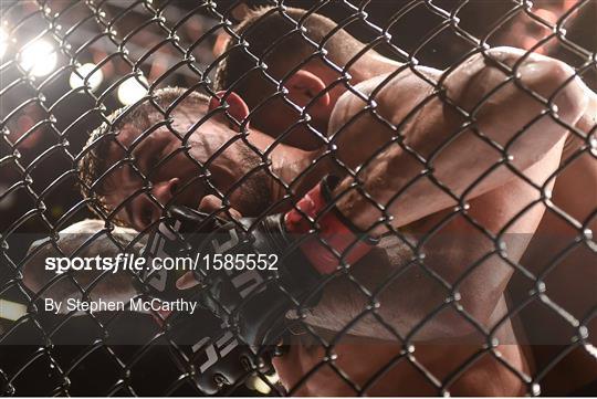 UFC 229 - Khabib v McGregor